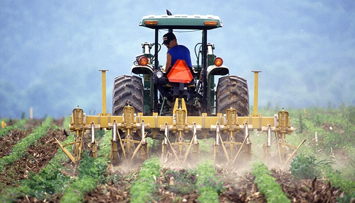 CDD multi-remplacement : les secteurs d'activité agricole concernés