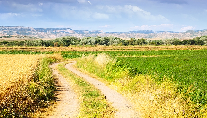 Achat d'un terrain nu: ce que vous devez vérifier